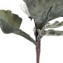 Fleur décorative DKD Home Decor EVA (éthylène-acétate de vinyle) (26 x 100 cm)