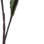 Fleur décorative DKD Home Decor EVA (éthylène-acétate de vinyle) (2 pcs) (35 x 92 cm)