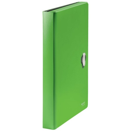 Carpeta Clasificadora Leitz 46240055 Verde A4