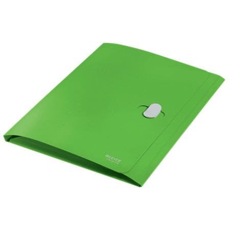 Carpeta Leitz 46220055 Verde A4 (1 unidad)