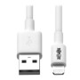 Cable USB a Lightning Eaton M100-006-WH Blanco 1,8 m