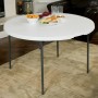 Table Piable Lifetime Blanc Plastique (Reconditionné C)