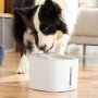 Fontaine pour Animaux de Compagnie Drinkatt InnovaGoods polypropylène 3 L (Reconditionné D)