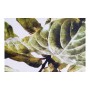 Cadre DKD Home Decor Plants Feuille d'une plante (50 x 2,5 x 70 cm) (2 Unités)