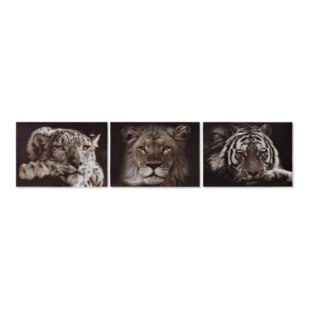 Cadre DKD Home Decor Tiger Colonial animaux (70 x 1,8 x 50 cm)