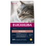 Aliments pour chat Eukanuba Kitten Chicken Poulet 10 kg