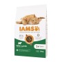 Aliments pour chat IAMS Advanced Nutrition Cat Adult Agneau 10 kg