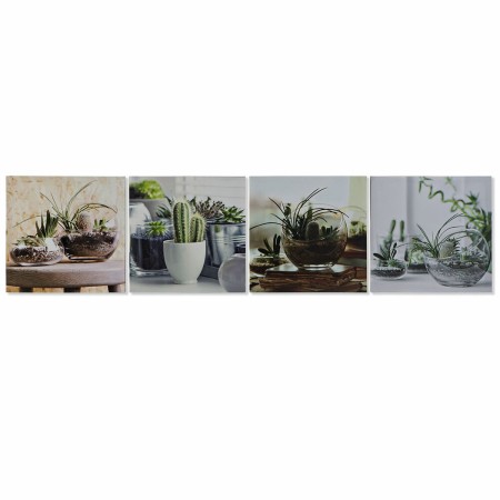 Cadre DKD Home Decor S3013640 Cactus (40 x 1,8 x 40 cm) (4 Unités)