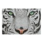 Cadre DKD Home Decor Tiger Toile Tigre Colonial (40 x 1,8 x 40 cm) (4 Unités)
