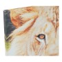 Cadre DKD Home Decor Tiger Toile Tigre Colonial (40 x 1,8 x 40 cm) (4 Unités)