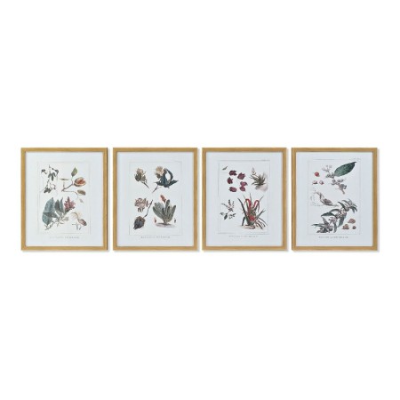 Cadre DKD Home Decor S3013715 Toile Fleurs (43 x 3 x 53 cm) (4 Unités)