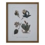Cadre DKD Home Decor S3013715 Toile Fleurs (43 x 3 x 53 cm) (4 Unités)