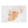 Cadre DKD Home Decor S3013721 Toile Fleurs (120 x 3 x 60 cm) (2 Unités)