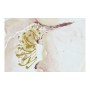 Cadre DKD Home Decor S3013726 Toile animaux (80 x 3 x 120 cm) (2 Unités)