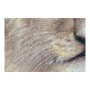 Cadre DKD Home Decor S3013728 Toile Lion Colonial (100 x 3 x 100 cm) (2 Unités)