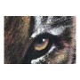 Cadre DKD Home Decor S3013728 Toile Lion Colonial (100 x 3 x 100 cm) (2 Unités)