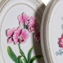 Figurine Décorative DKD Home Decor Résine Fleurs (2 pcs) (17 x 2.5 x 21.6 cm)