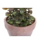 Plante décorative DKD Home Decor Grès Polypropylène (PP) EVA (2 pcs) (16 x 16 x 29.5 cm)