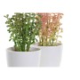 Plante décorative DKD Home Decor Mélamine Grès Polypropylène (PP) (2 pcs) (10 x 8 x 18.5 cm)