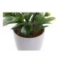 Plante décorative DKD Home Decor Rouge Vert Grès Polypropylène (PP) (2 pcs) (13 x 11 x 17.5 cm)