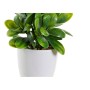 Plante décorative DKD Home Decor Rouge Vert Grès Polypropylène (PP) (2 pcs) (13 x 11 x 17.5 cm)