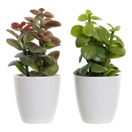 Plante décorative DKD Home Decor Orange Vert Grès Polypropylène (PP) (9.8 x 8 x 18 cm) (2 pcs)