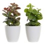 Plante décorative DKD Home Decor Orange Vert Grès Polypropylène (PP) (9.8 x 8 x 18 cm) (2 pcs)