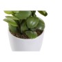 Plante décorative DKD Home Decor Orange Vert Grès Polypropylène (PP) (9.8 x 8 x 18 cm) (2 pcs)
