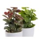 Plante décorative DKD Home Decor Orange Vert Grès Polypropylène (PP) (9.8 x 8 x 18 cm) (2 pcs)