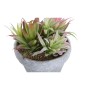 Plante décorative DKD Home Decor Grès Polypropylène (PP) EVA (3 pcs) (20 x 19 x 22 cm)
