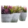 Plante décorative DKD Home Decor Grès Polypropylène (PP) EVA (3 pcs) (20 x 19 x 22 cm)