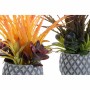 Plante décorative DKD Home Decor Orange Rose Grès Polypropylène (PP) (2 pcs) (31 x 28 x 29 cm)
