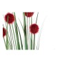 Bouquets DKD Home Decor Orange Bordeaux PVC (2 pcs) (12 x 12 x 102 cm)