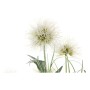Plante décorative DKD Home Decor PVC Porcelaine Cuivré Clair (20 x 20 x 78 cm)