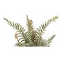 Plante décorative DKD Home Decor Vert PVC Laiton (12 x 12 x 40 cm)