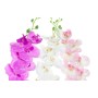Fleurs décoratives DKD Home Decor Blanc Rose Polyester Plastique Lila (3 pcs) (14 x 7 x 91 cm)