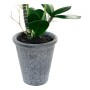 Plante décorative DKD Home Decor Blanc Gris Tissu Grès Lila (2 pcs) (30 x 22 x 51 cm)