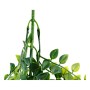 Plante décorative DKD Home Decor Vert Polyéthylène Fer (18 x 18 x 101 cm)