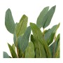 Fleur décorative DKD Home Decor Vert Fer (10 x 10 x 46 cm)