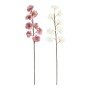 Bouquets DKD Home Decor Blanc Rose EVA (éthylène-acétate de vinyle) (2 pcs) (30 x 30 x 90 cm)