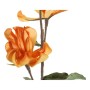 Fleurs décoratives DKD Home Decor Jaune Orange EVA (éthylène-acétate de vinyle) (2 pcs)
