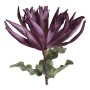 Fleurs décoratives DKD Home Decor Bleu EVA (éthylène-acétate de vinyle) Lila (2 pcs) (25 x 25 x 83 cm)