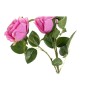 Fleurs décoratives DKD Home Decor Jaune Rose Tissu Polyéthylène Fuchsia (3 pcs)