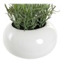 Plante décorative DKD Home Decor Lavande Rose Polyéthylène Dolomite Lila (17 x 17 x 27 cm) (2 pcs)