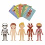 Puzzle Apli 19438 Cuerpo humano 240 Piezas