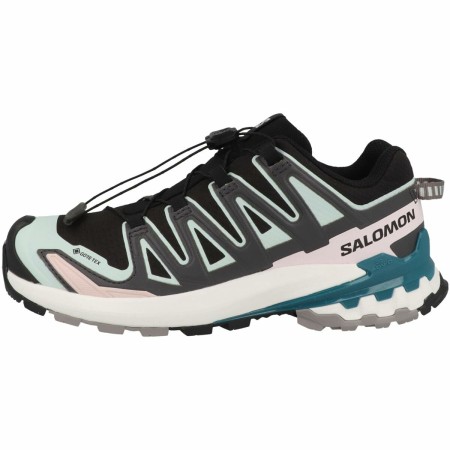 Chaussures de Running pour Adultes Salomon XA PRO 3D V9 GTX W