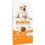 Nourriture IAMS Vitality Adult Large Breed Poulet 12 kg