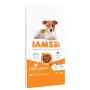 Nourriture IAMS Vitality Puppy & Junior Small & Medium Poulet 12 kg