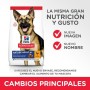 Nourriture Hill's Science plan canine Poulet Cochon 14 Kg