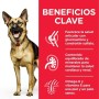 Pienso Hill's Science plan canine Pollo Cerdo 14 Kg